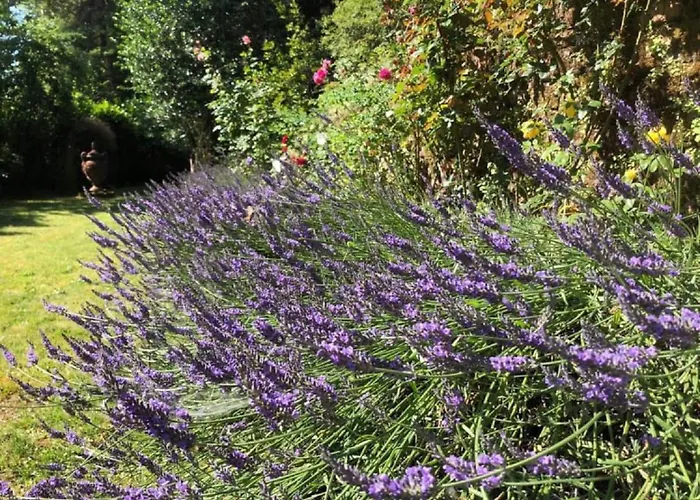 Hôtels Premium à Najac