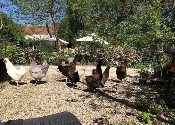 Meilleurs Hôtels à Ermenonville, Guide Complet